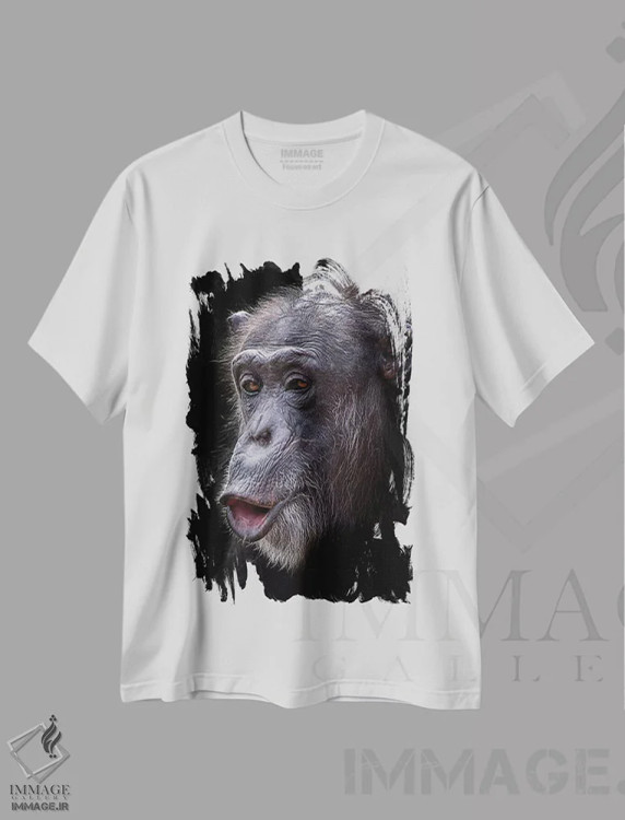 تیشرت سفید طرح دار غافلگیری، هنر فاخر معاصر اثر دیوید وولَن | immage.ir