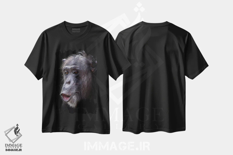 تیشرت مشکی طرح دار غافلگیری، هنر فاخر معاصر اثر دیوید وولَن | فروشگاه ایماژ