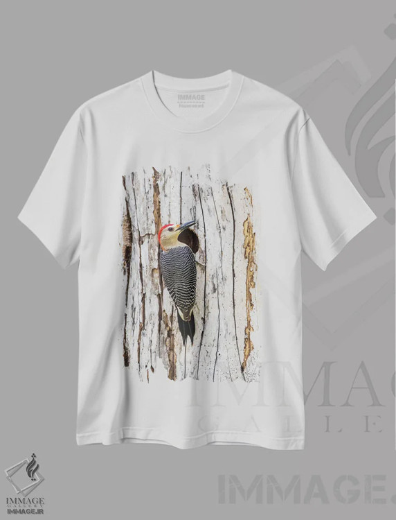 تیشرت سفید طرح دار آثار الیزابت بوم - immage.ir