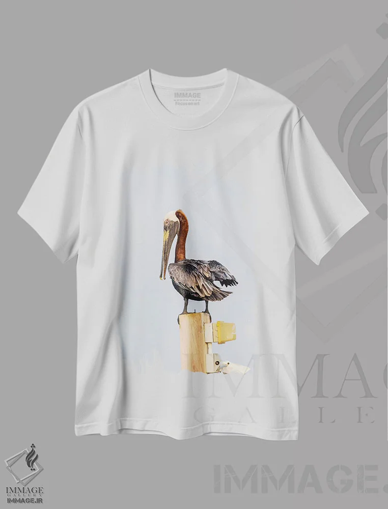 تیشرت سفید طرح دار بلیز، امبرگریس کی، پلیکان قهوه ای نشسته روی تیر چراغ، مدیوم اثر الیزابت بوم | immage.ir