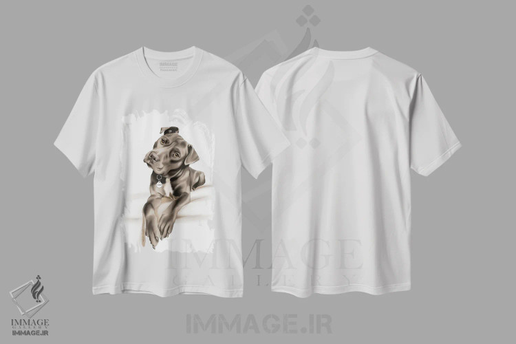 تیشرت سفید طرح دار استفی II، دست نقاشی و طراحی دستی اثر الزا فوچه | immage.ir