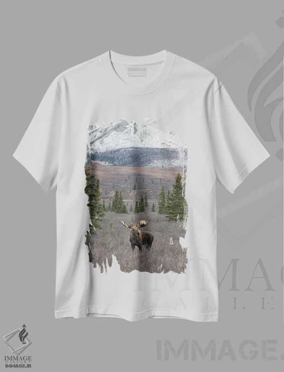 تیشرت سفید طرح دار گوزن دنالی با برف، مدیوم اثر اریک فیشر | immage.ir
