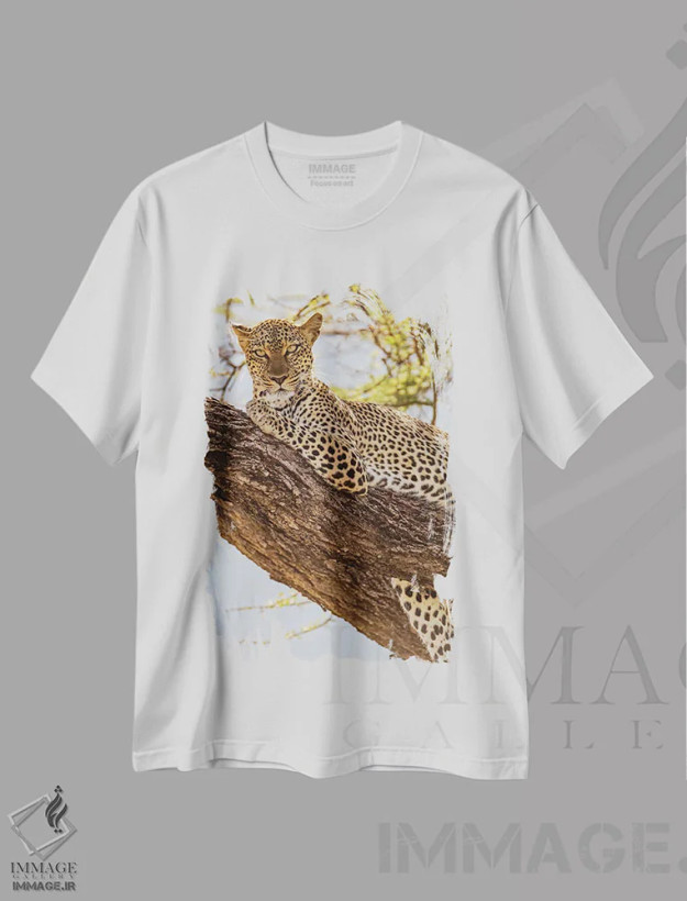 تیشرت سفید طرح دار آثار امیلی ویلسون - immage.ir