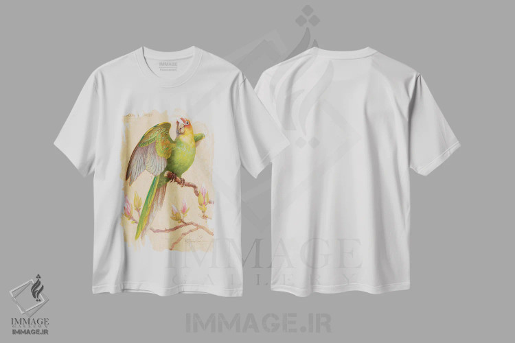 تیشرت سفید طرح دار طوطی کارولینا و ماگنولیا، تزئینی اثر ازرا تاکر | فروشگاه ایماژ