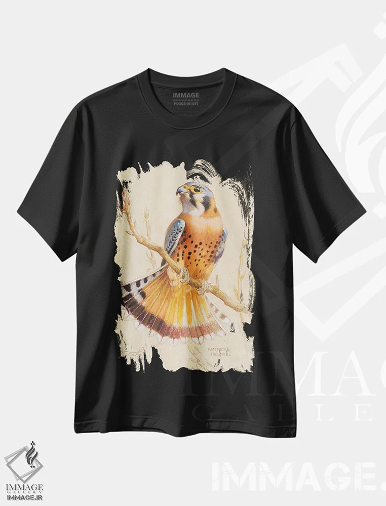 تیشرت مشکی طرح دار بحری آمریکایی، دکور کلبه و لژ اثر ازرا تاکر | immage.ir