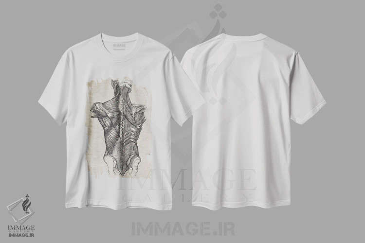تیشرت سفید طرح دار چاپ پزشکی ستون فقرات قدیمی، تزئینی اثر فیشرکرافت | فروشگاه ایماژ