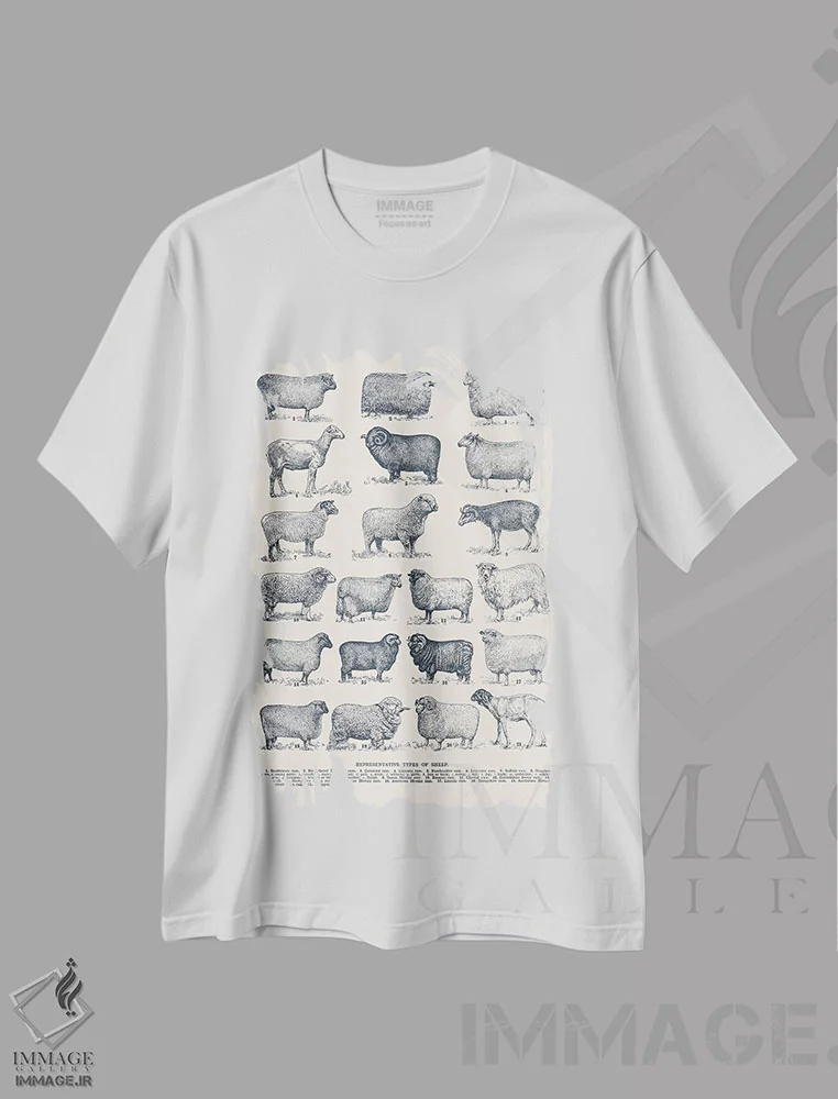 تیشرت سفید طرح دار انواع نماینده گوسفندان، دکور روستایی اثر فلوران بُدار | فروشگاه ایماژ