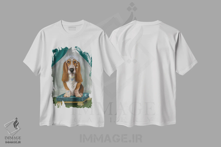 تیشرت سفید طرح دار بست هاوند و تاج ۱، دکور معاصر اثر فب فانکی | فروشگاه ایماژ