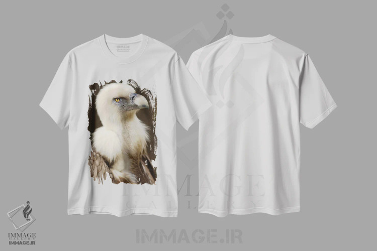 تیشرت سفید طرح دار گریفون ۶، مدیوم اثر گوران آناستاسوفسکی | immage.ir