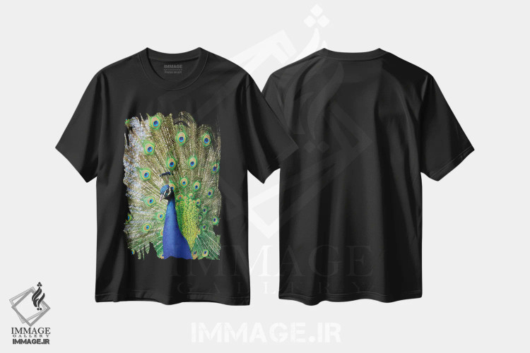 تیشرت مشکی طرح دار زیبایی چهارم، مدیوم اثر گوران آناستاسوفسکی | فروشگاه ایماژ