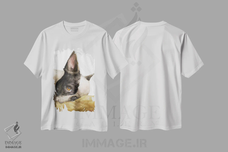 تیشرت سفید طرح دار بوستون تریر با پس زمینه سفید، دکور معاصر اثر جورج دیاچنکو | immage.ir