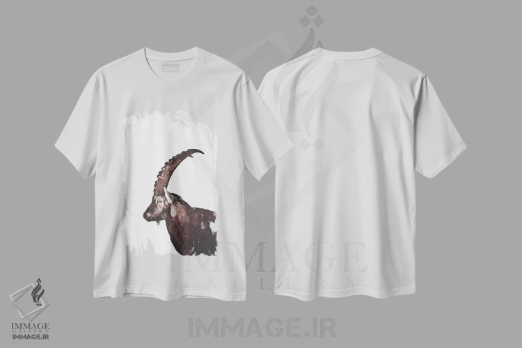 تیشرت سفید طرح دار بزماهی در برف، دکور کلبه و لژ اثر مونیکا استریگل | immage.ir