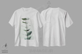 تیشرت سفید طرح دار اکالیپتوس سبز I، دکور معاصر اثر مونیکا استریگل | immage.ir
