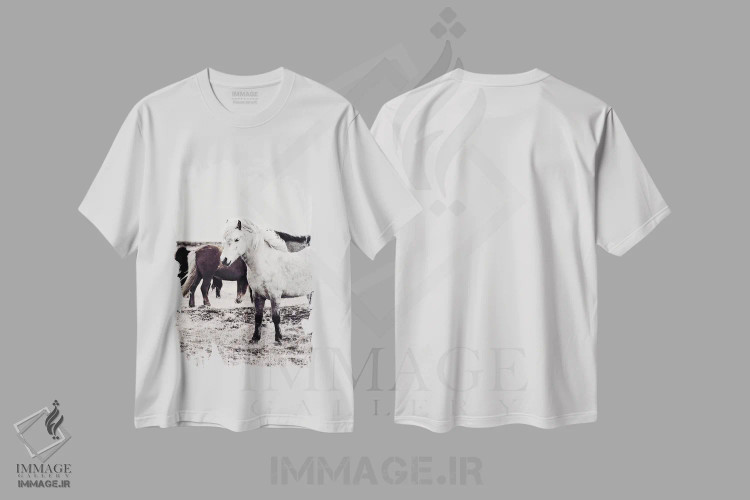 تیشرت سفید طرح دار اسب ایسلندی بیارمی، دکور روستایی اثر مونیکا استریگل | immage.ir