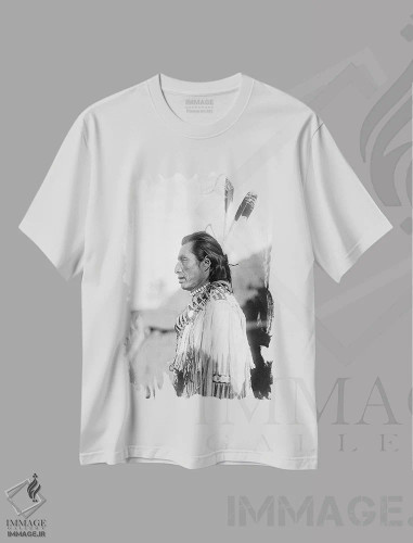 تیشرت سفید طرح دار C1908,شفابخش مندانی، حدود ۱۹۰۸، تزئینی اثر ادوارد اس. کرتیس | فروشگاه ایماژ