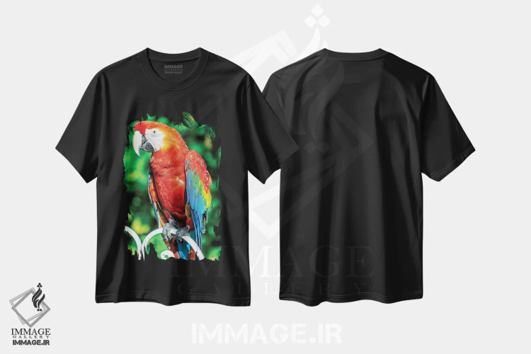 تیشرت مشکی طرح دار طوطی ماکائو I، مدیوم اثر گلاوکو منهالی | immage.ir