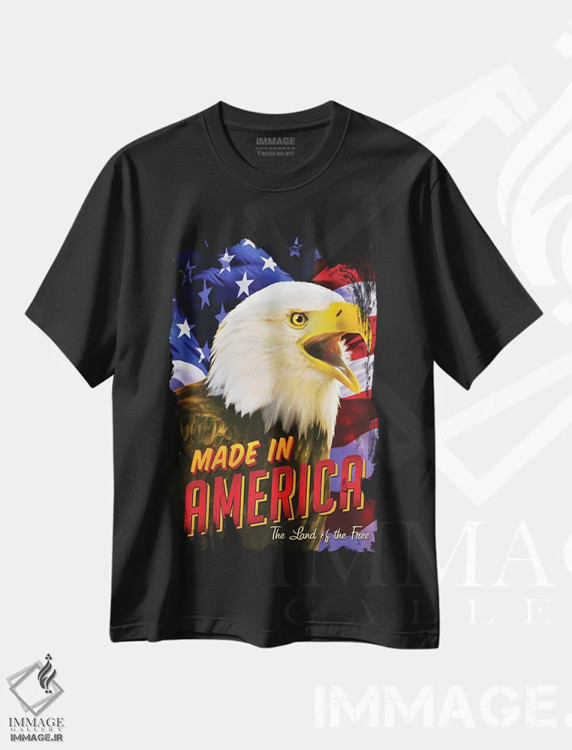 تیشرت مشکی طرح دار عقاب و پرچم، دکور روستایی اثر گرگ جوردانو | فروشگاه ایماژ
