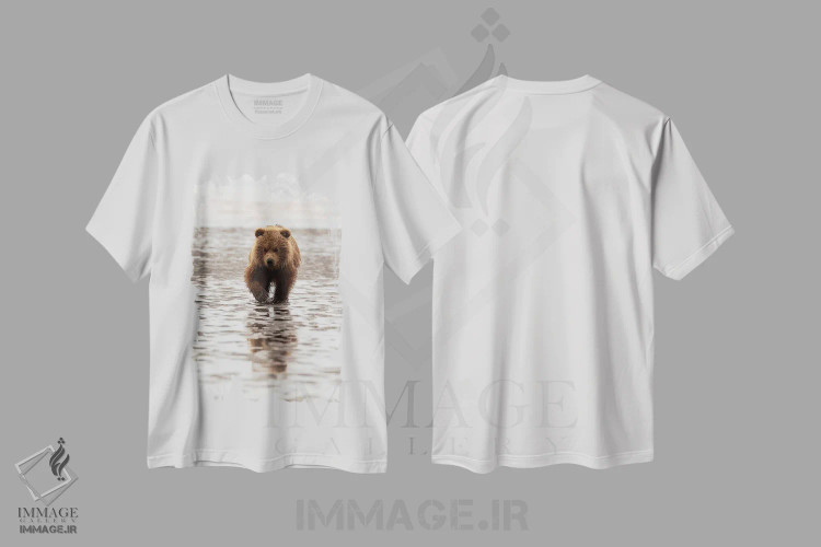 تیشرت سفید طرح دار آثار جورج تئودور - فروشگاه ایماژ