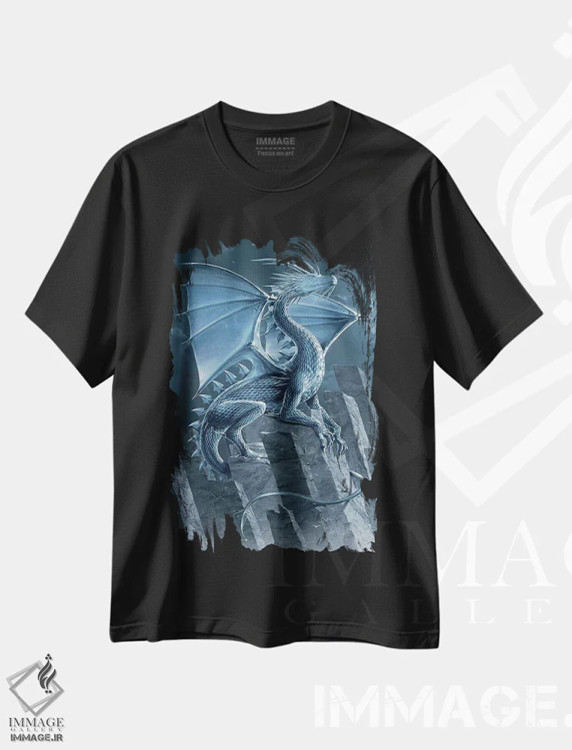 تیشرت مشکی طرح دار اژدهای نقره ای، تزئینی اثر وینسنت های | immage.ir