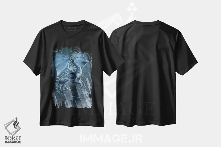 تیشرت مشکی طرح دار اژدهای نقره ای، تزئینی اثر وینسنت های | immage.ir
