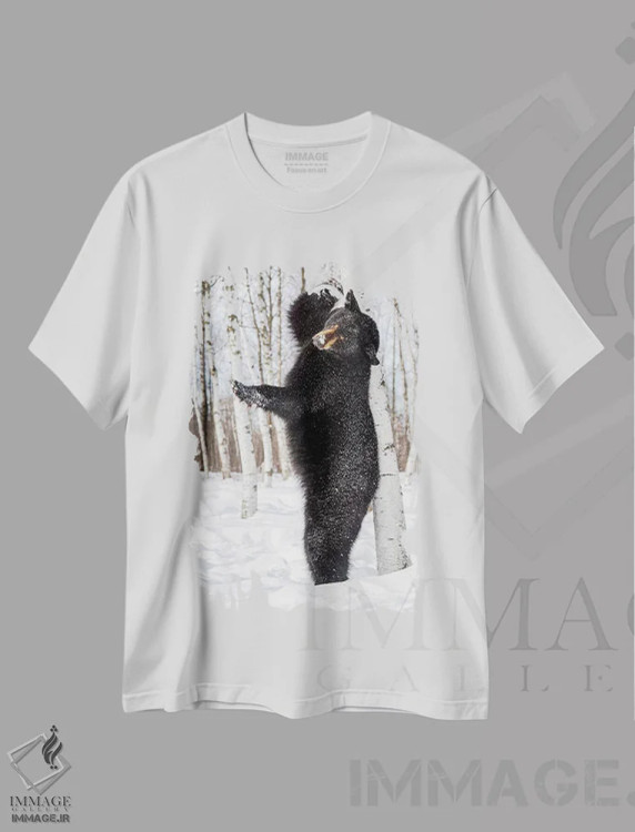تیشرت سفید طرح دار آثار هولیس لونی - immage.ir