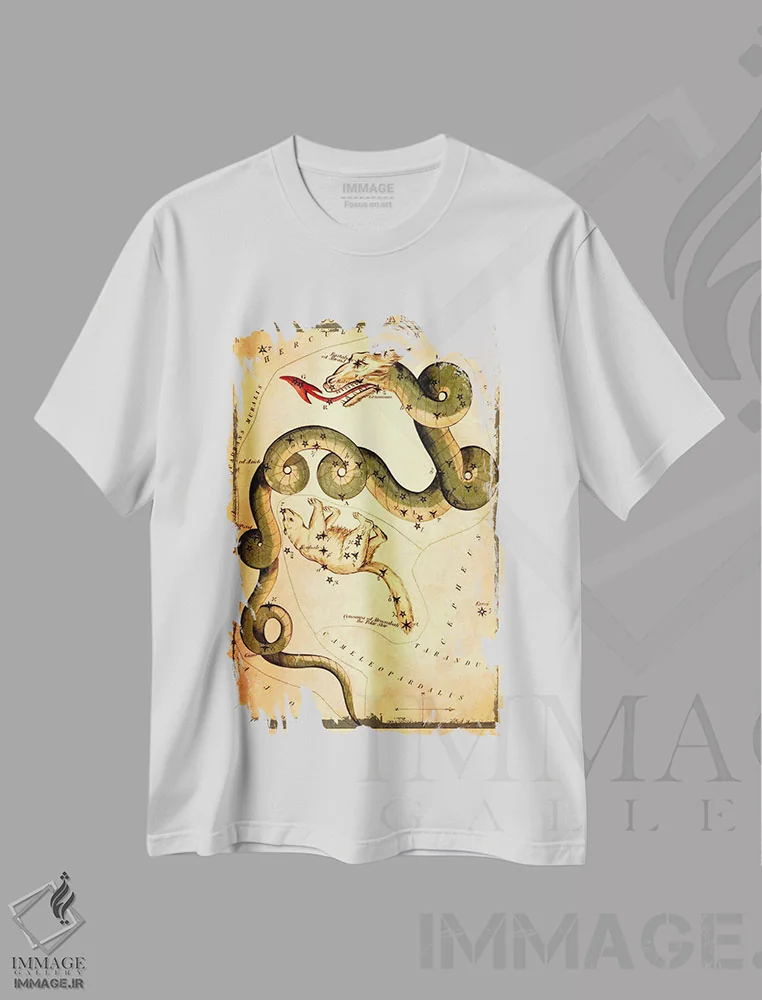 تیشرت سفید طرح دار اژدها و خرس کوچک، تزئینی اثر سیدنی هال | immage.ir