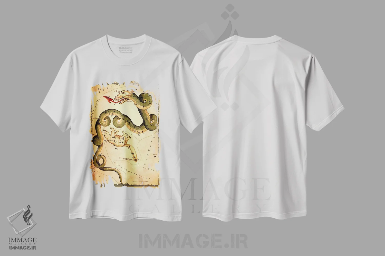 تیشرت سفید طرح دار اژدها و خرس کوچک، تزئینی اثر سیدنی هال | immage.ir
