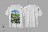 تیشرت سفید طرح دار آثار ایریش ایمیج کالکشن - immage.ir
