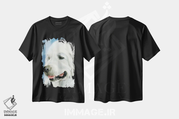 تیشرت مشکی طرح دار ظرافت خاص، هنر فاخر معاصر اثر جودیت استاین | immage.ir