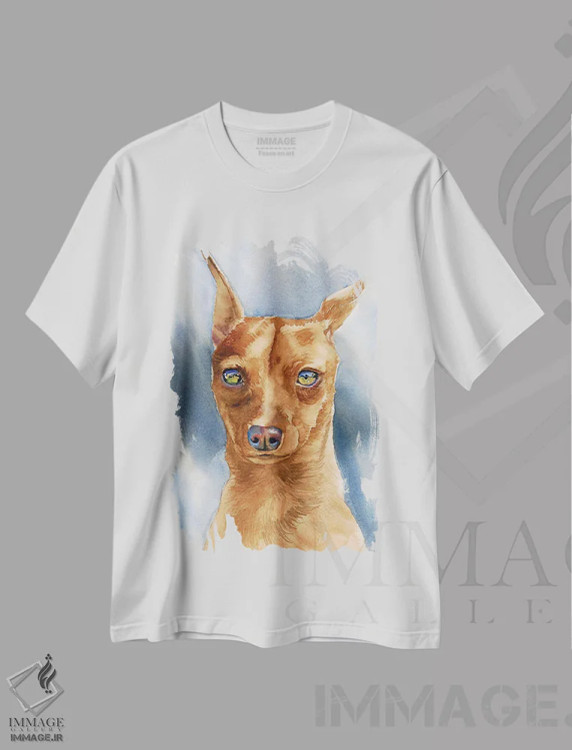 تیشرت سفید طرح دار پادشاه اسباب بازی ها، تزئینی اثر جودیت استاین | فروشگاه ایماژ