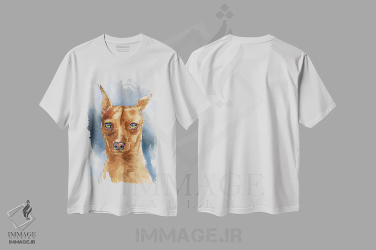 تیشرت سفید طرح دار پادشاه اسباب بازی ها، تزئینی اثر جودیت استاین | فروشگاه ایماژ