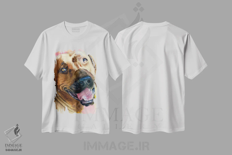 تیشرت سفید طرح دار ریجبک رودزیایی، دکور معاصر اثر جودیت استاین | فروشگاه ایماژ