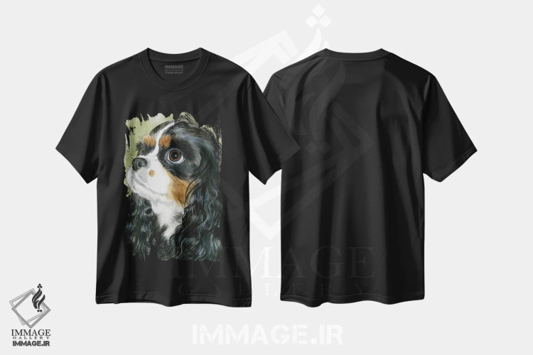 تیشرت مشکی طرح دار شایستهٔ پادشاه، هنر فاخر معاصر اثر جودیت استاین | فروشگاه ایماژ