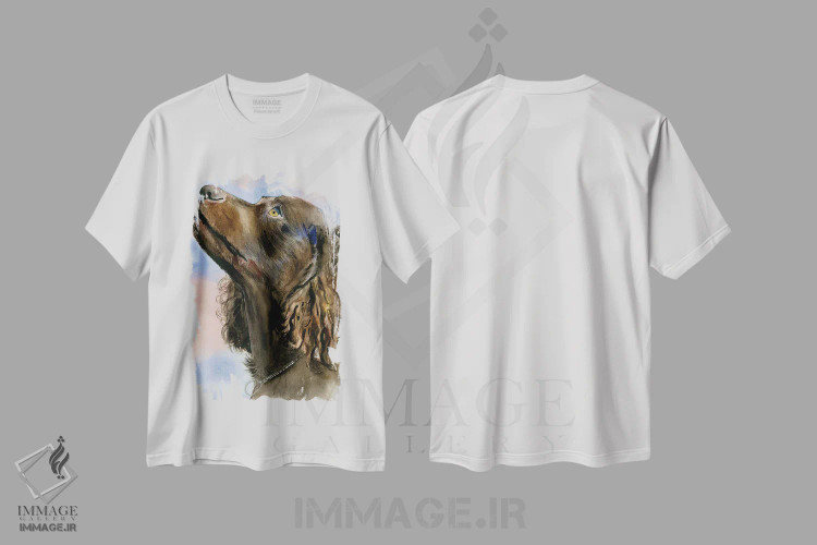 تیشرت سفید طرح دار من عاشق رمز و راز هستم، هنر فاخر معاصر اثر جودیت استاین | فروشگاه ایماژ