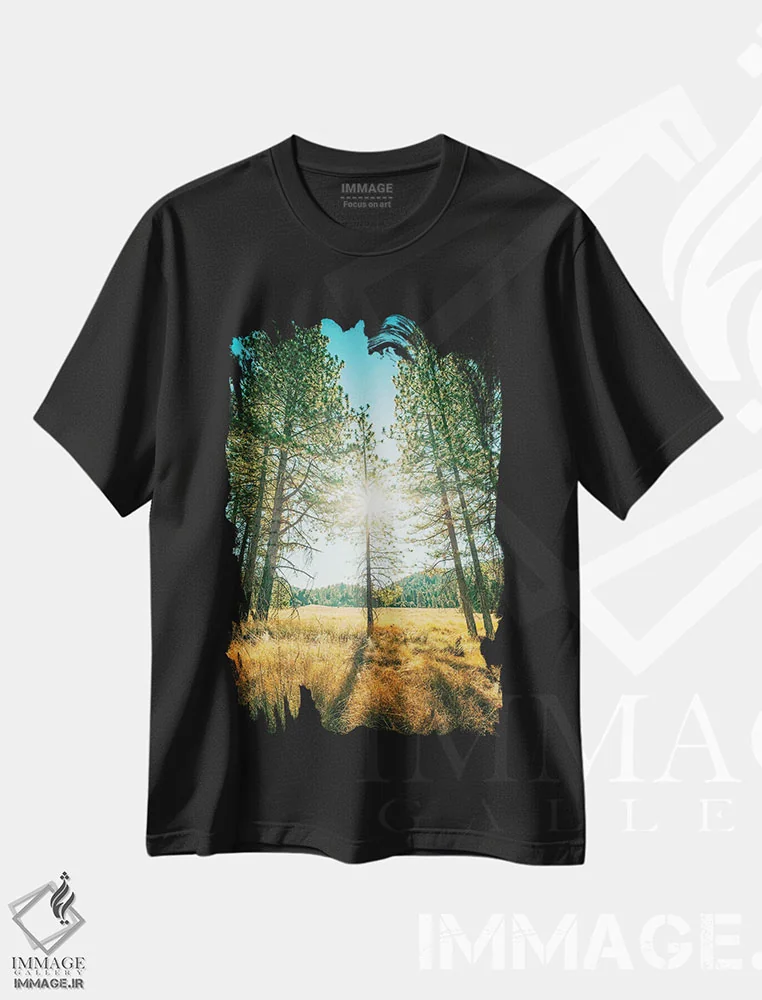تیشرت مشکی طرح دار پارک ایالتی کوه پالومار، مدیوم اثر جوزف اس. جیاکالونه | immage.ir