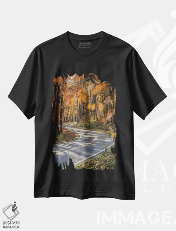 تیشرت مشکی طرح دار سفر جاده ای در اسموکیز، مدیوم اثر عکاسی جاناتان راس | immage.ir