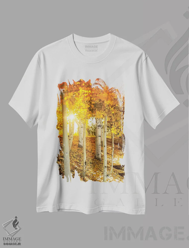تیشرت سفید طرح دار پرتوی خورشید میان درختان آسپن، مدیوم اثر عکاسی جاناتان راس | immage.ir