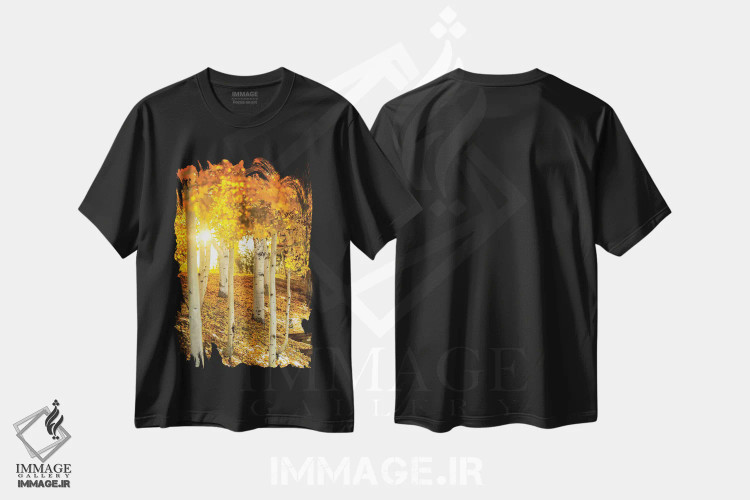 تیشرت مشکی طرح دار پرتوی خورشید میان درختان آسپن، مدیوم اثر عکاسی جاناتان راس | فروشگاه ایماژ