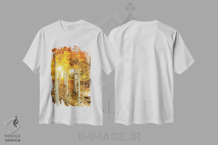 تیشرت سفید طرح دار پرتوی خورشید میان درختان آسپن، مدیوم اثر عکاسی جاناتان راس | immage.ir