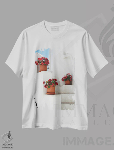 تیشرت سفید طرح دار گلدان ها روی پله های یونانی، مدیوم اثر جین ریکس | فروشگاه ایماژ