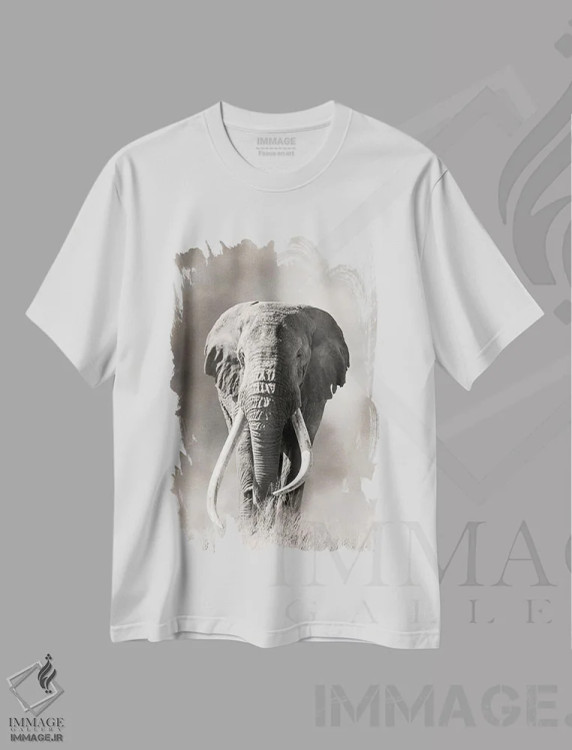 تیشرت سفید طرح دار آثار جین ریکس - immage.ir