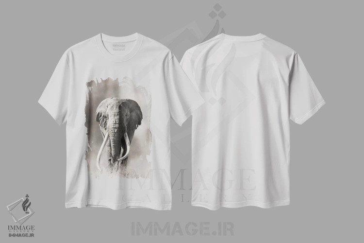 تیشرت سفید طرح دار آثار جین ریکس - immage.ir