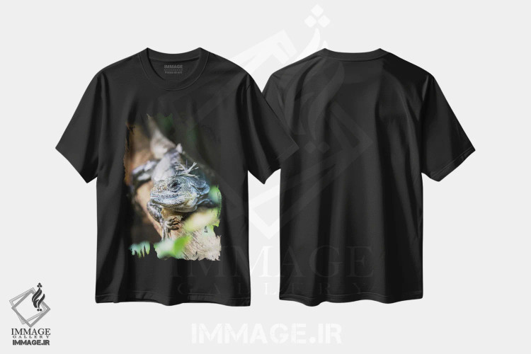 تیشرت مشکی طرح دار ایگوانای دمدار اتولا، مدیوم اثر جین ریکس | immage.ir