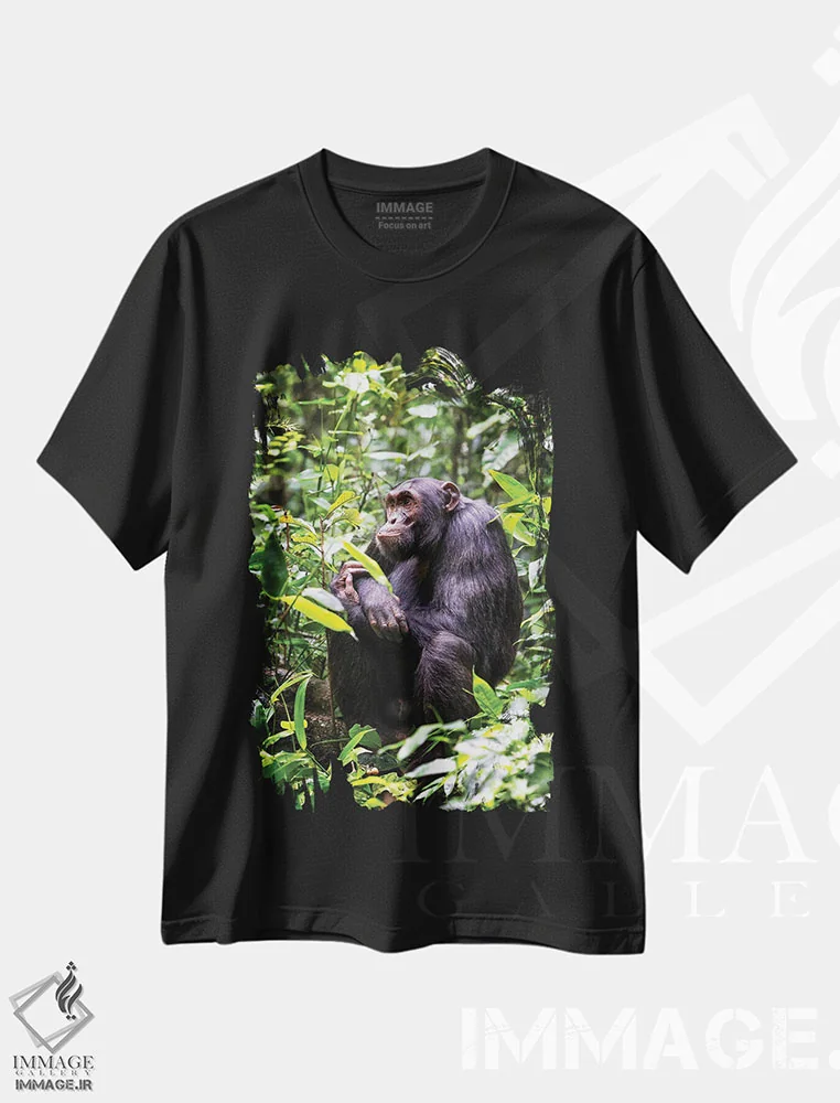 تیشرت مشکی طرح دار Kibale, Uganda,شامپانزه نشسته، کیباله، اوگاندا، مدیوم اثر جین ریکس | immage.ir