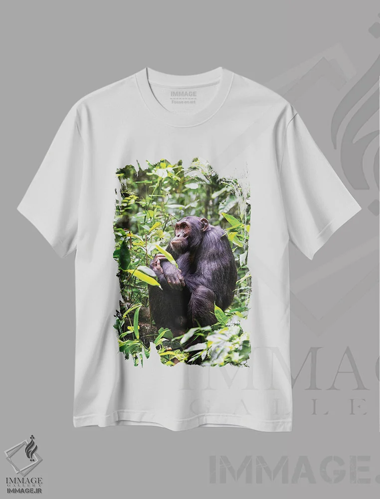 تیشرت سفید طرح دار Kibale, Uganda,شامپانزه نشسته، کیباله، اوگاندا، مدیوم اثر جین ریکس | فروشگاه ایماژ