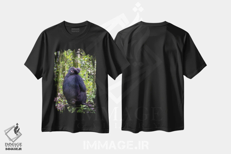 تیشرت مشکی طرح دار Uganda,شامپانزه در جنگل کیباله، اوگاندا، مدیوم اثر جین ریکس | فروشگاه ایماژ