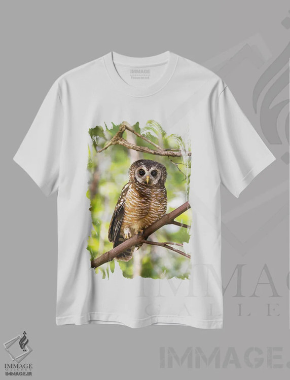 تیشرت سفید طرح دار نمای نزدیک جغد جنگلی آفریقایی، مدیوم اثر جین ریکس | فروشگاه ایماژ