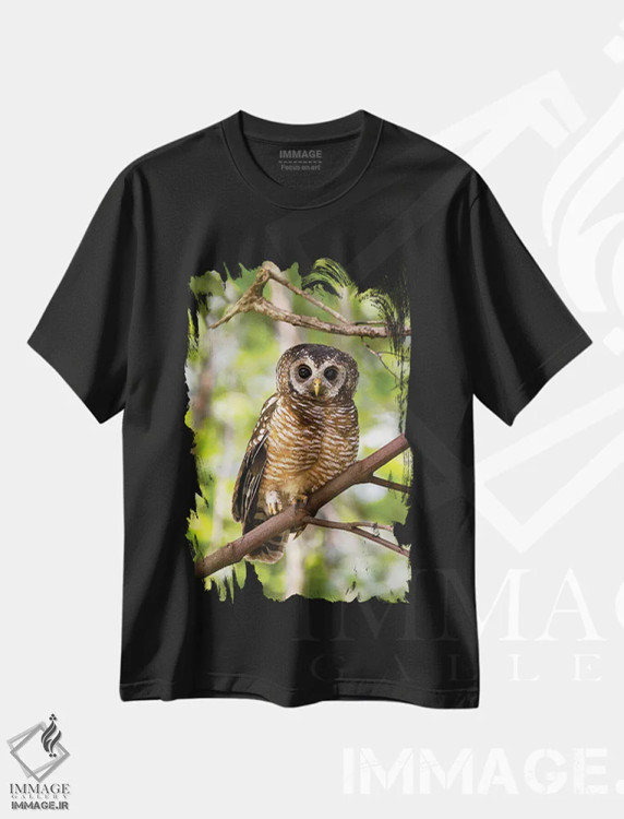 تیشرت مشکی طرح دار نمای نزدیک جغد جنگلی آفریقایی، مدیوم اثر جین ریکس | immage.ir