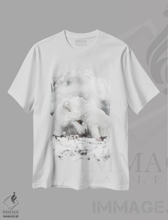 تیشرت سفید طرح دار تنقل خوردن در برف، مدیوم اثر جو شاتر | immage.ir