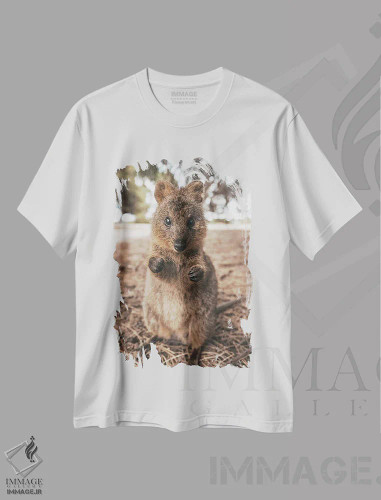 تیشرت سفید طرح دار کوئوکای بالبوآ اثر جیمز وودیکا | فروشگاه ایماژ